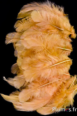 Henne - 5-9 cm - kastanie
